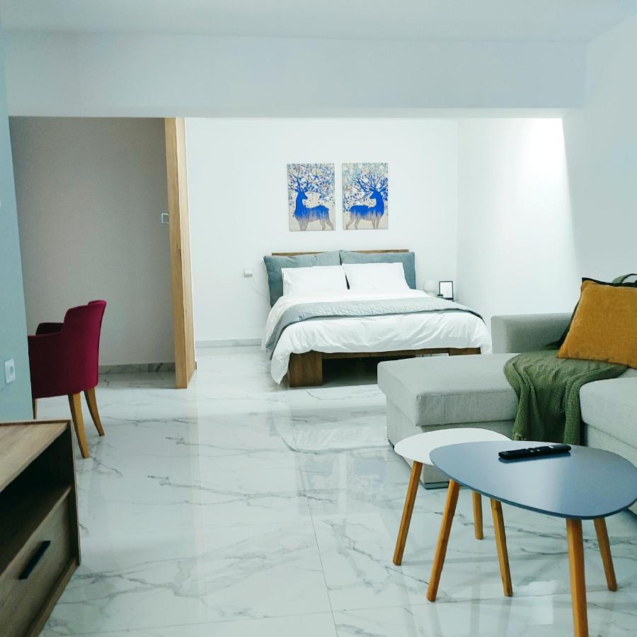 Unique By Perfect-Living Ιωάννινα Apartment Luaran gambar